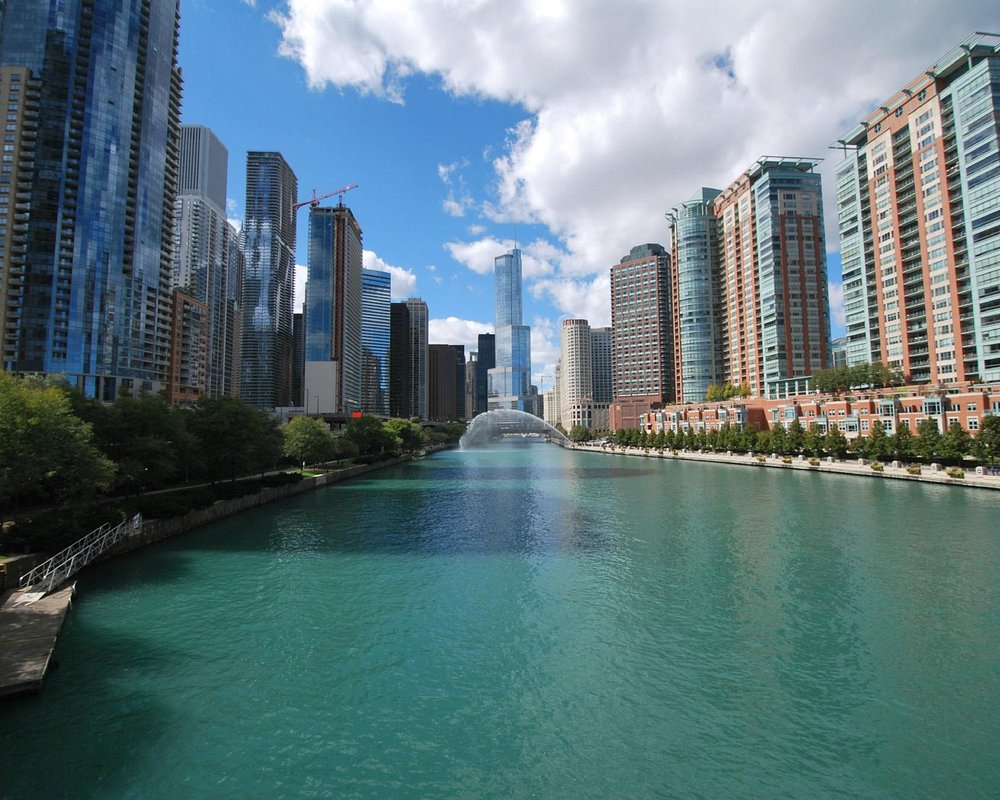 The Magnificent Mile