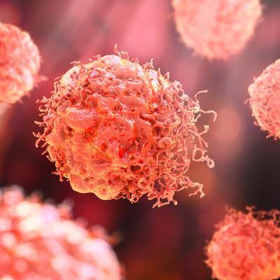 Track 2: Translational & Preclinical Research