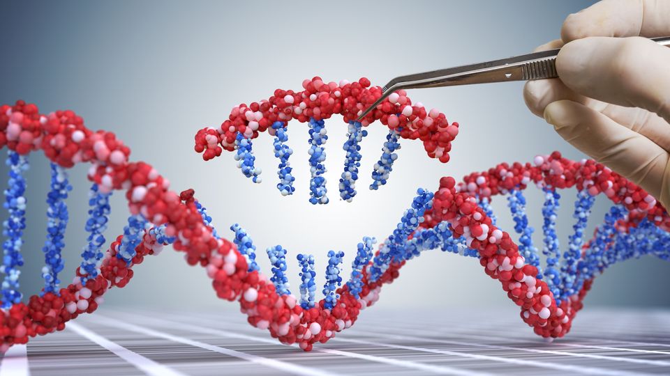 Track 4: Genomics, Gene Editing & Molecular Research